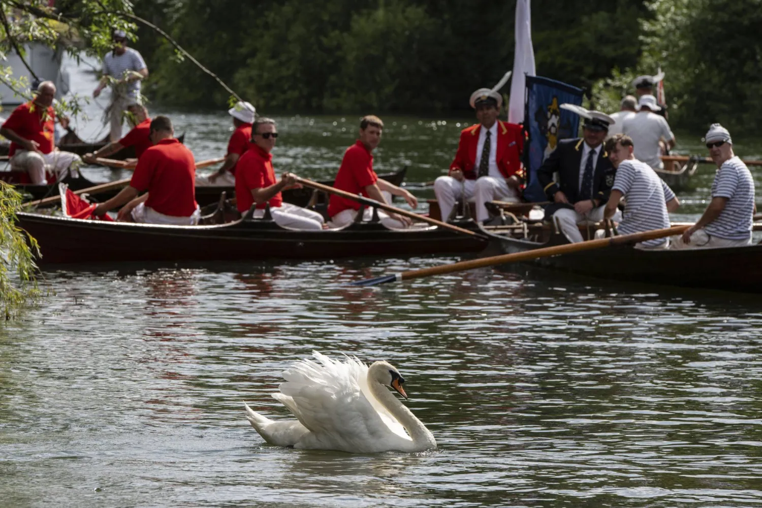 Swan uppers travel along the River Thames between Staines and Eton, during the ancient tradition of Swan Upping, the annual census of the mute swan population on the River Thames in London, Monday, July 14, 2025. (AP Photo/Thomas Krych)