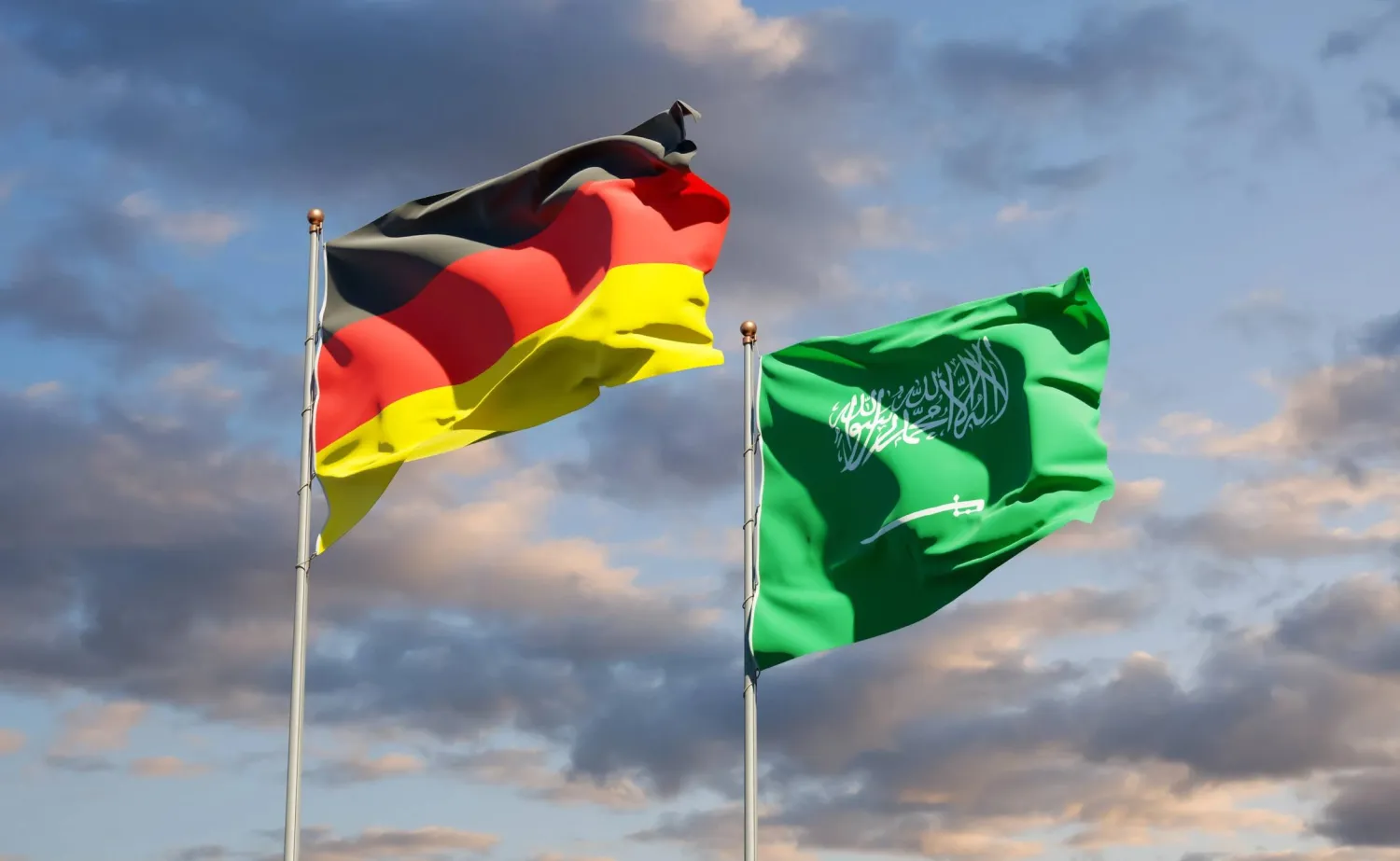 علما السعودية وألمانيا (الشرق الأوسط)