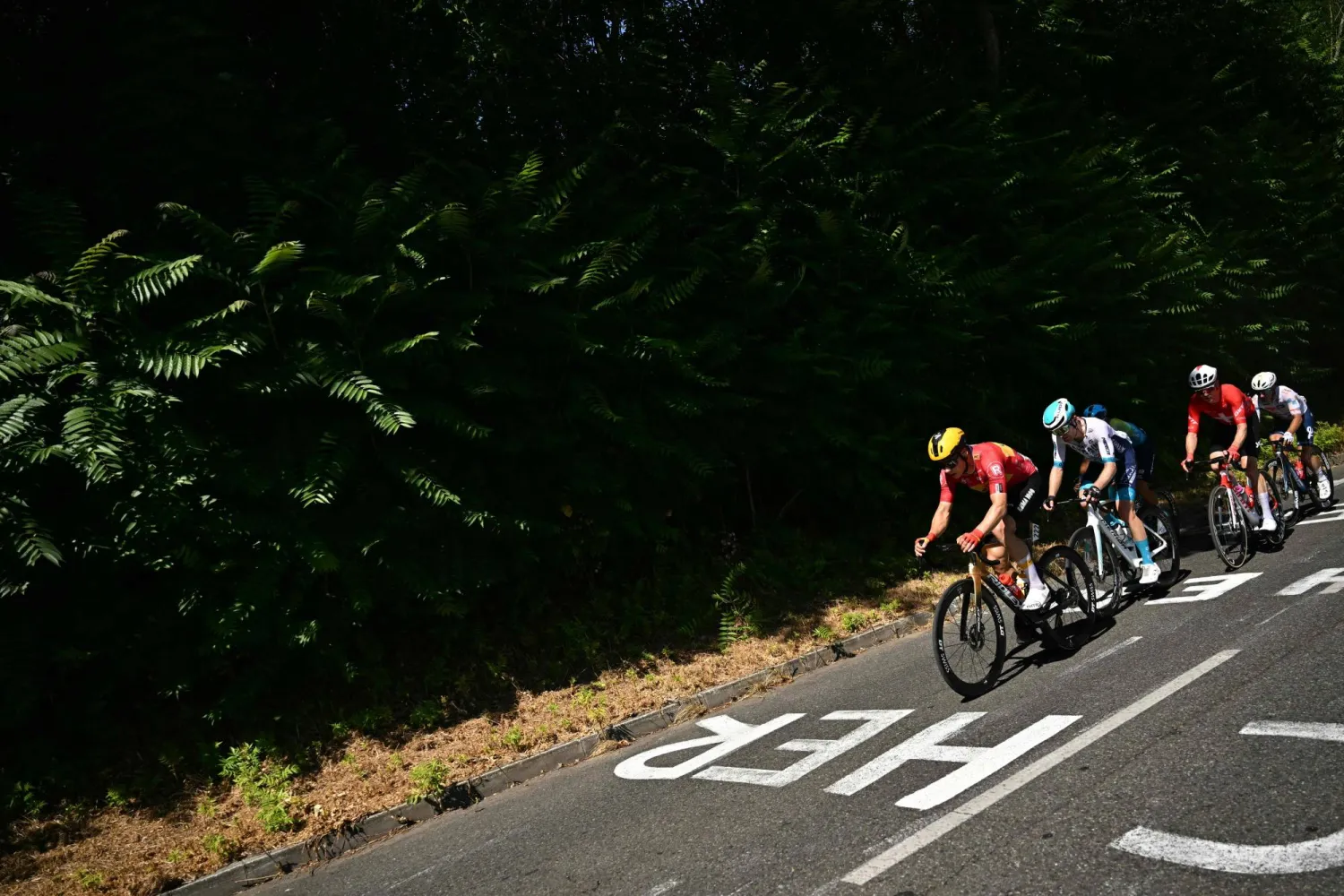 فريق هاجن بيرمان جايكو أكد وفاة المتسابق الإيطالي صمويل برفيتيرا (أ.ف.ب)