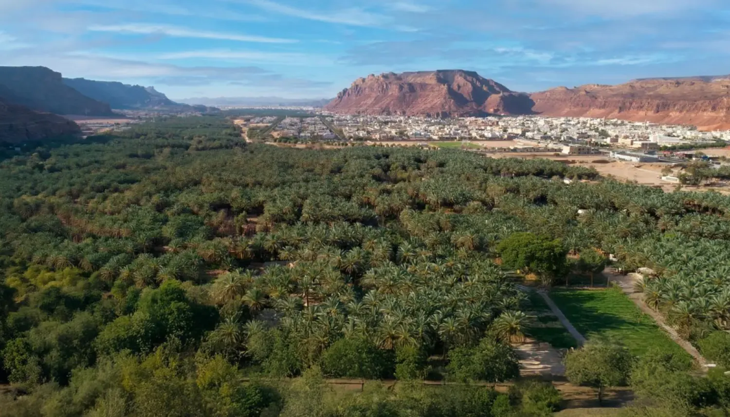 AlUla's mango farms yield over 1,125 tons from 125,000 hectares, and fig, grape, and pomegranate farms produce over 3,141 tons from 348 hectares. - SPA

