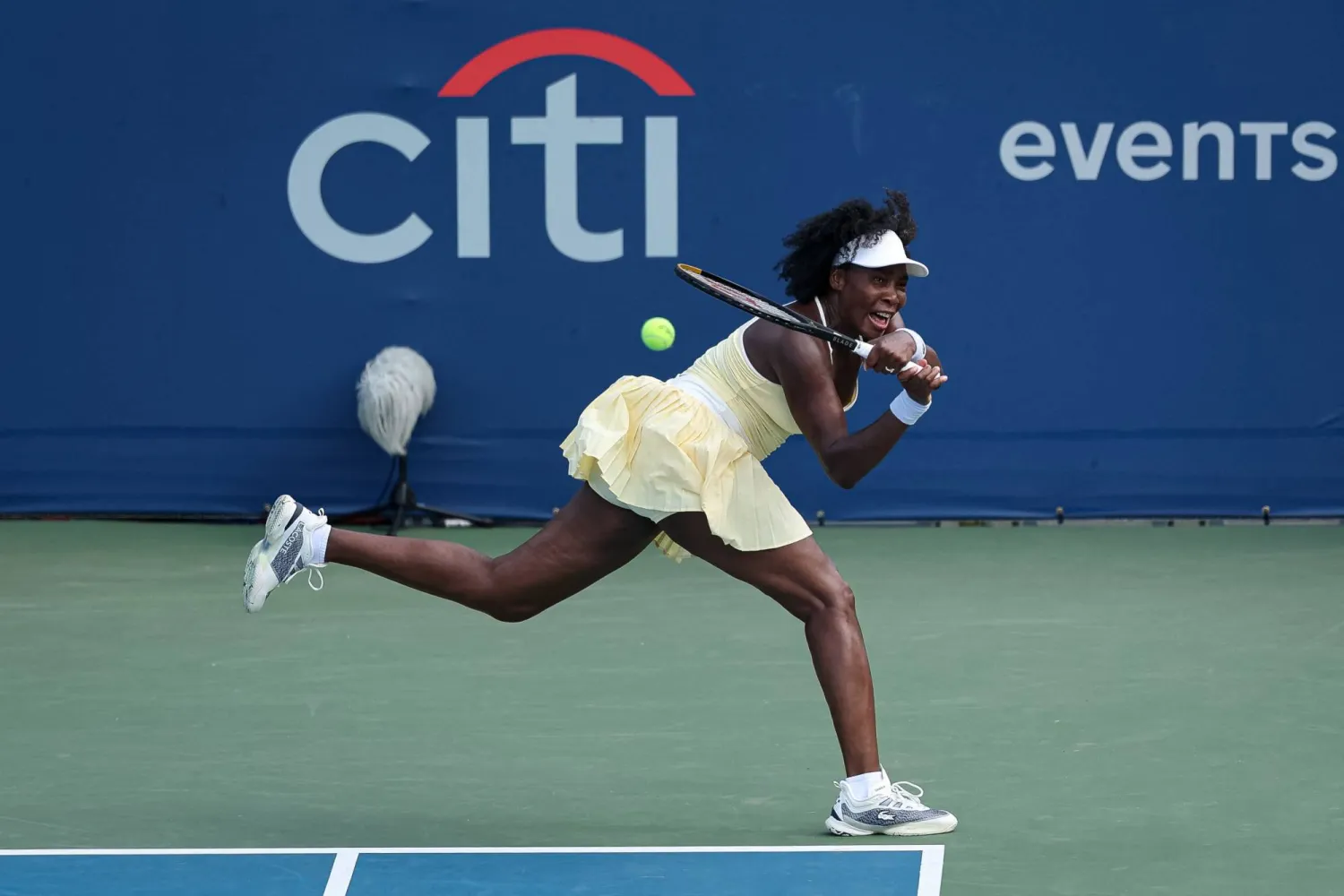 فينوس ويليامز (أ.ف.ب)