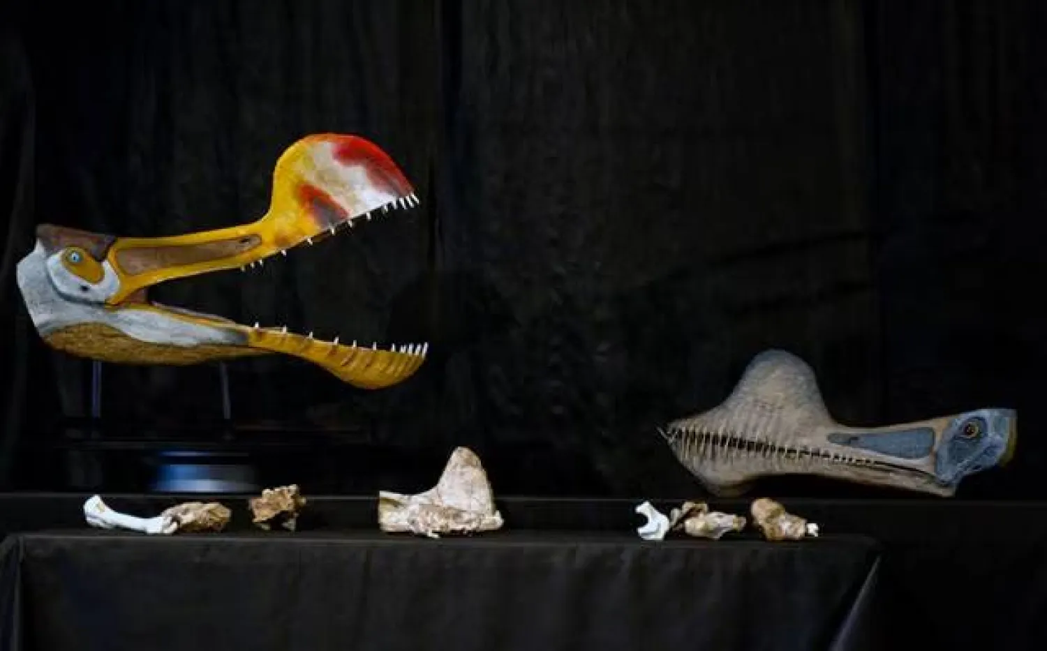 سرٌ أخفاه الطيران عن الأرض لقرون (أ.ف.ب)