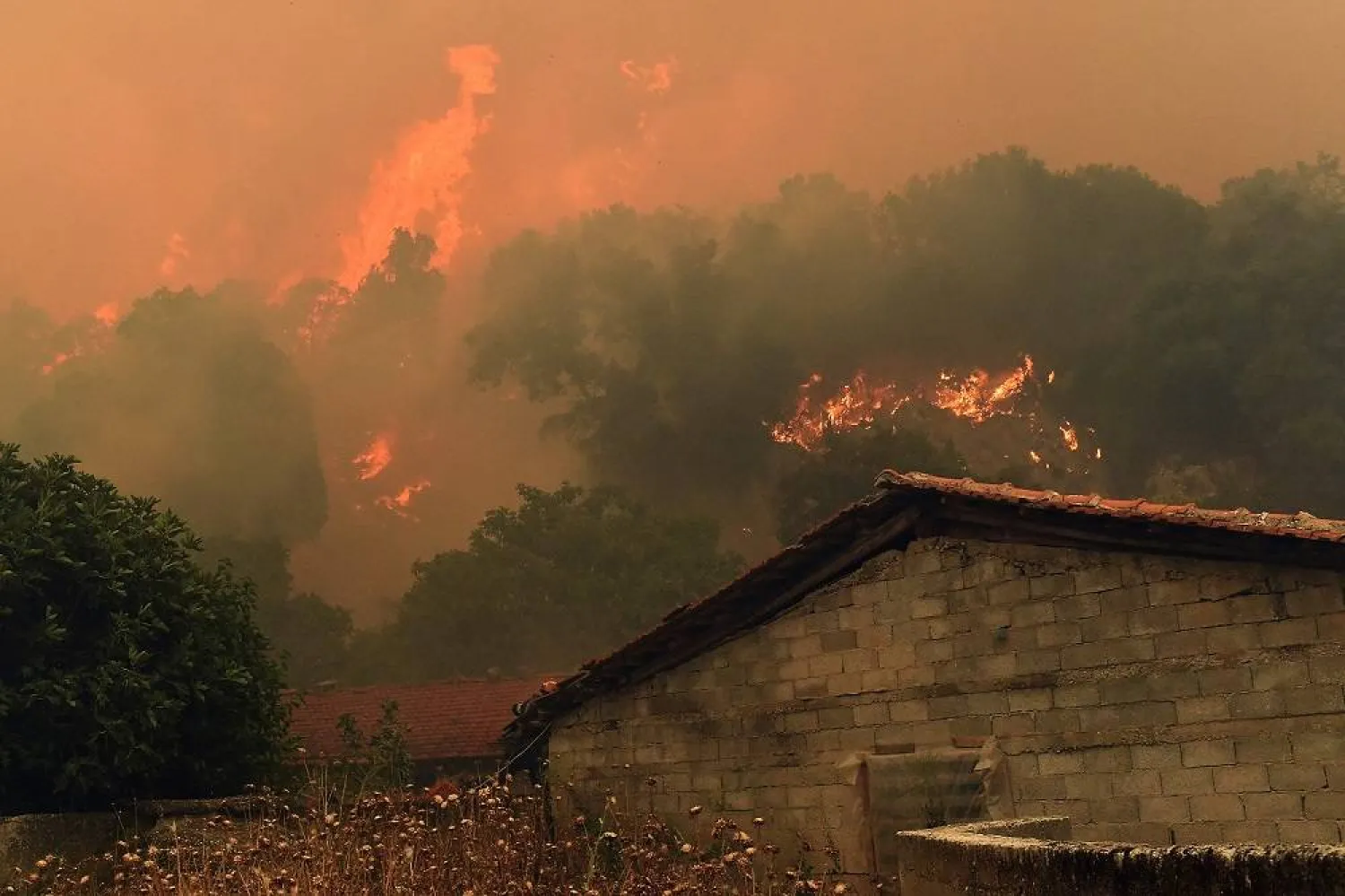 A fire burns in a forested area in Feneos, Corinth, Peloponnese, Greece, 22 July 2025. (EPA)