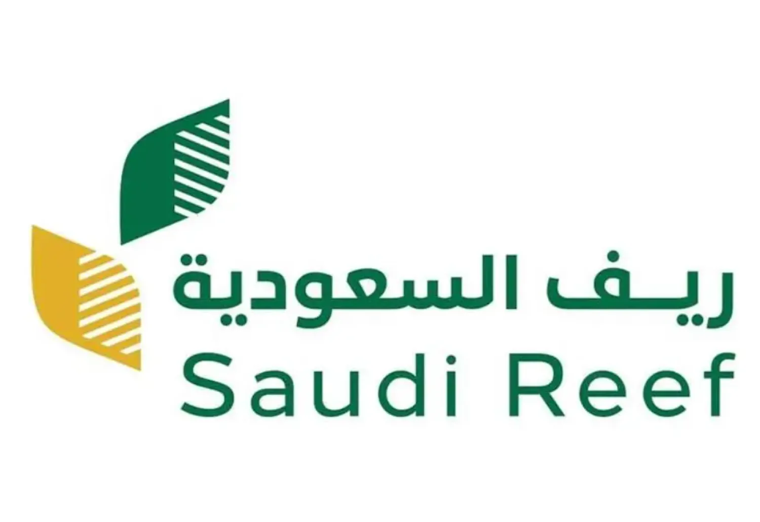 Saudi Reef Launches Project to Boost Coffee Tree Productivity by 30%