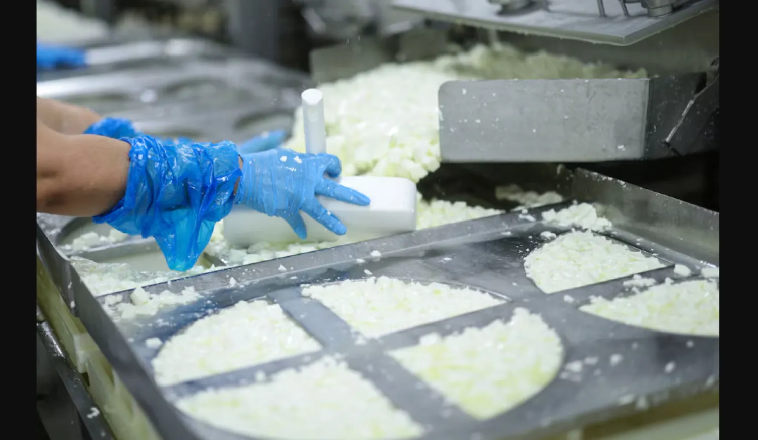 الجبن القريش يحتوي عموماً على بروتين أكثر من الزبادي اليوناني (رويترز)