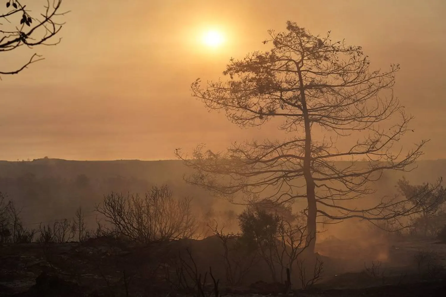 Smoke fills the air as firefighters battle a forest fire in the Cypriot village of Souni, in the Limassol province, on July 24, 2025. (AFP)