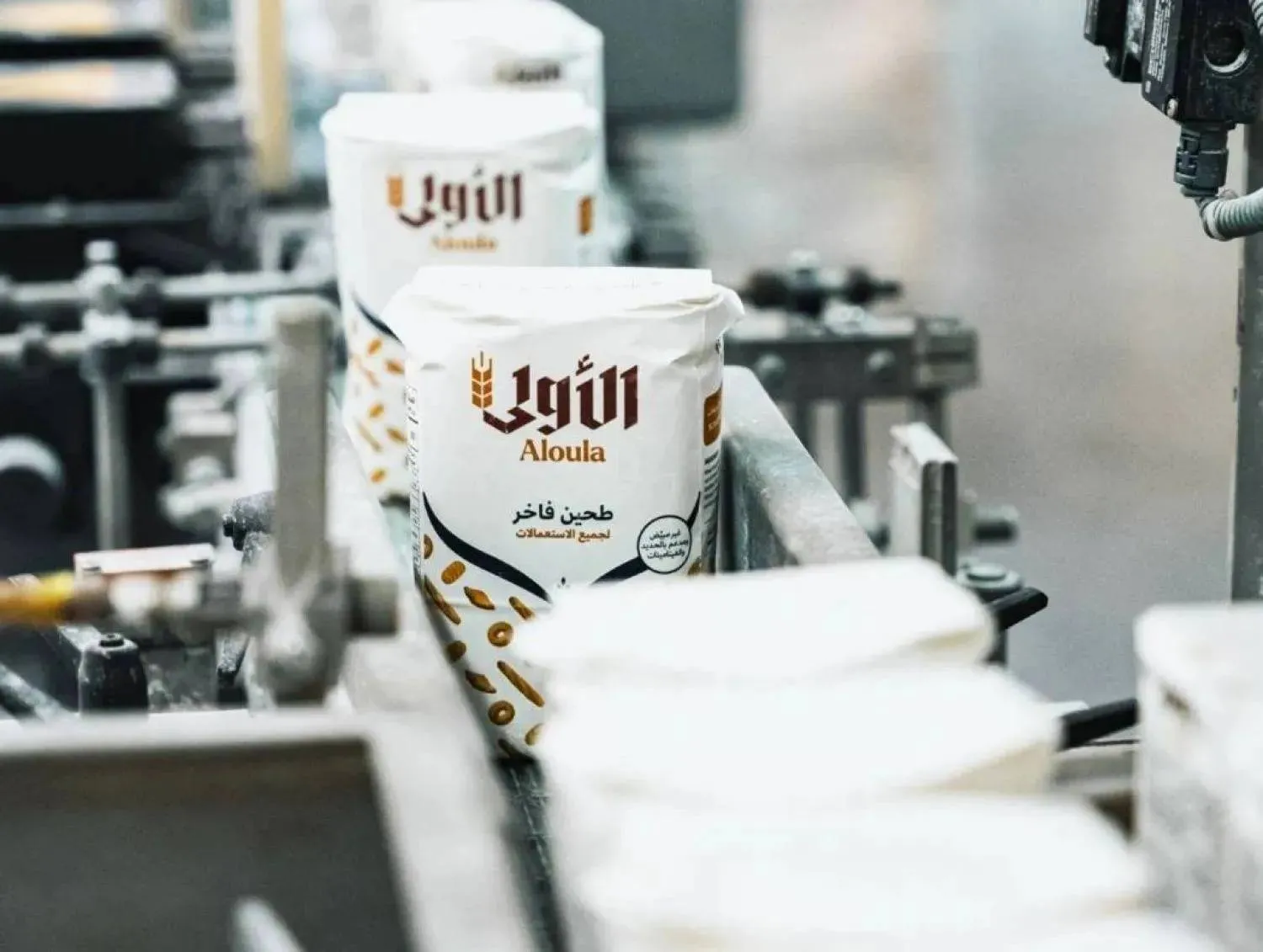 داخل أحد مصانع «المطاحن الأولى» (الموقع الإلكتروني للشركة)