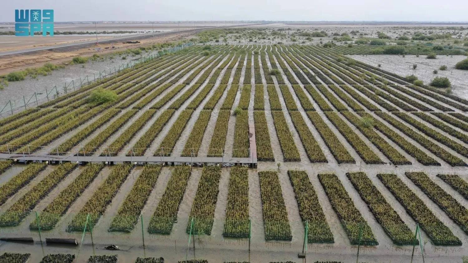 Project sites were selected based on environmental priorities, including ecological sensitivity, need for restoration, and technical feasibility. (SPA)