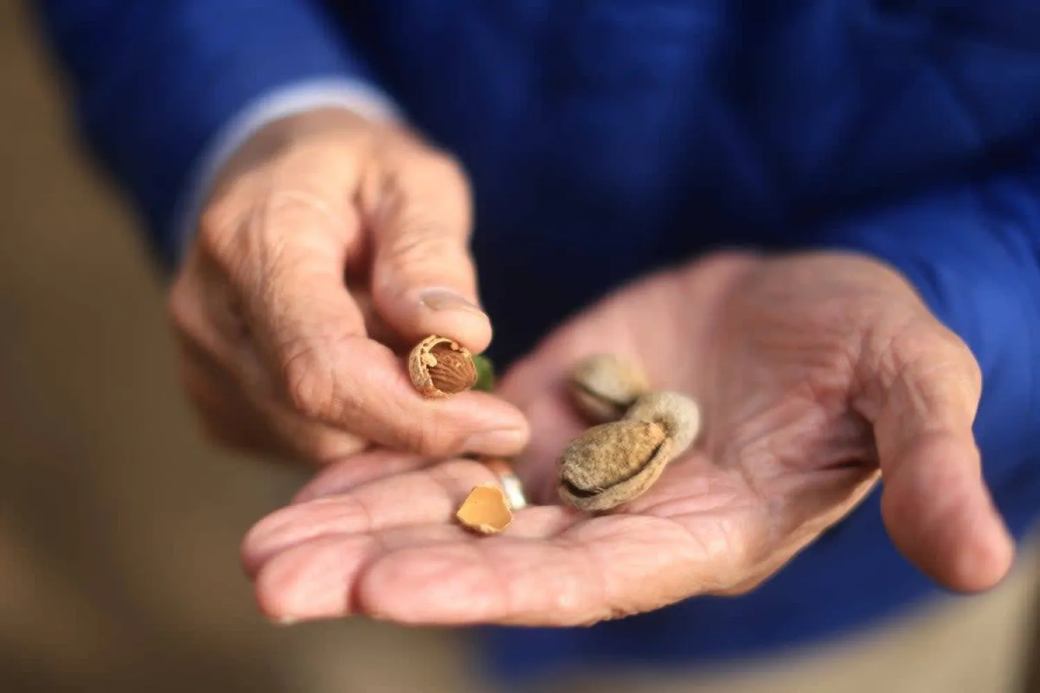 نقع اللوز يُحسّن طراوته مما يُسهّل مضغه (أ.ف.ب)