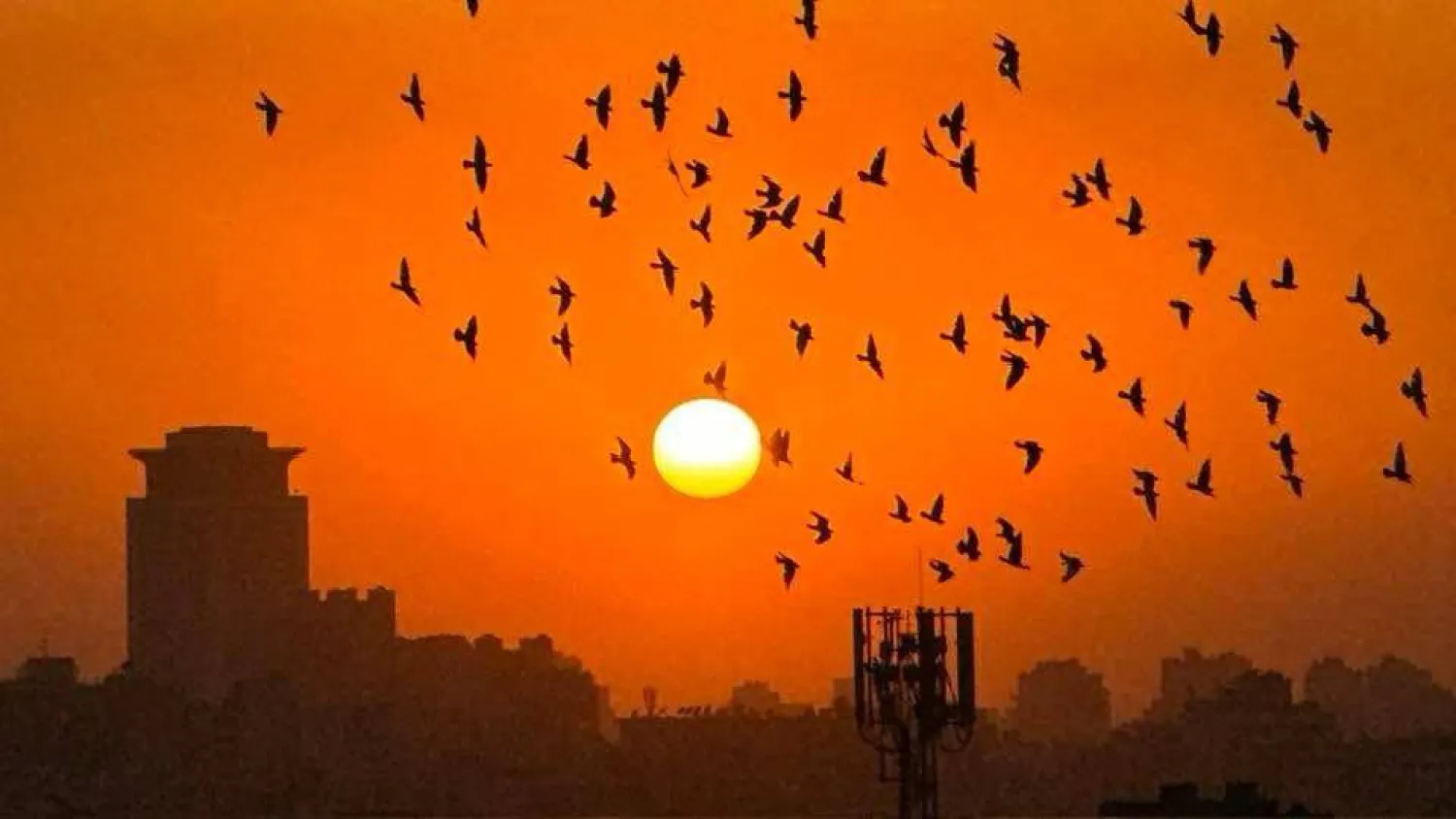 نصائح للمصريين بعدم التعرض المباشر لأشعة الشمس خلال فترات الذروة (تصوير عبد الفتاح فرج)