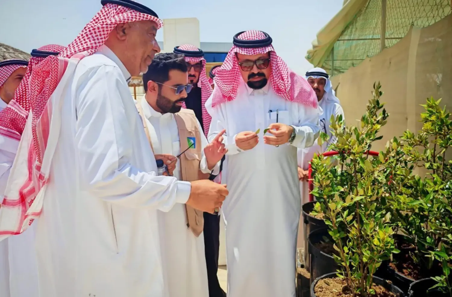 Their involvement was part of a ministry initiative aimed at promoting the responsible economic use of mangrove resources and showcasing locally produced mangrove honey - SPA