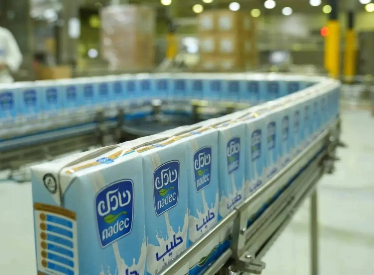 جانب من داخل أحد مصانع شركة «نادك» (موقع الشركة الإلكتروني)