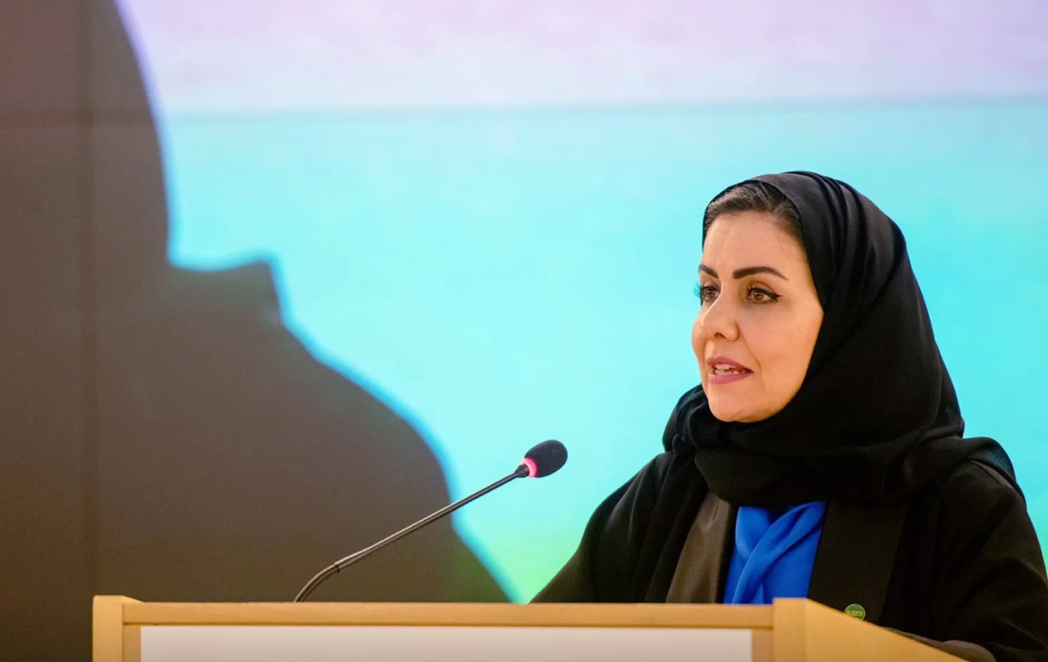 الدكتورة هلا التويجري رئيسة «هيئة حقوق الإنسان» (موقع الهيئة)