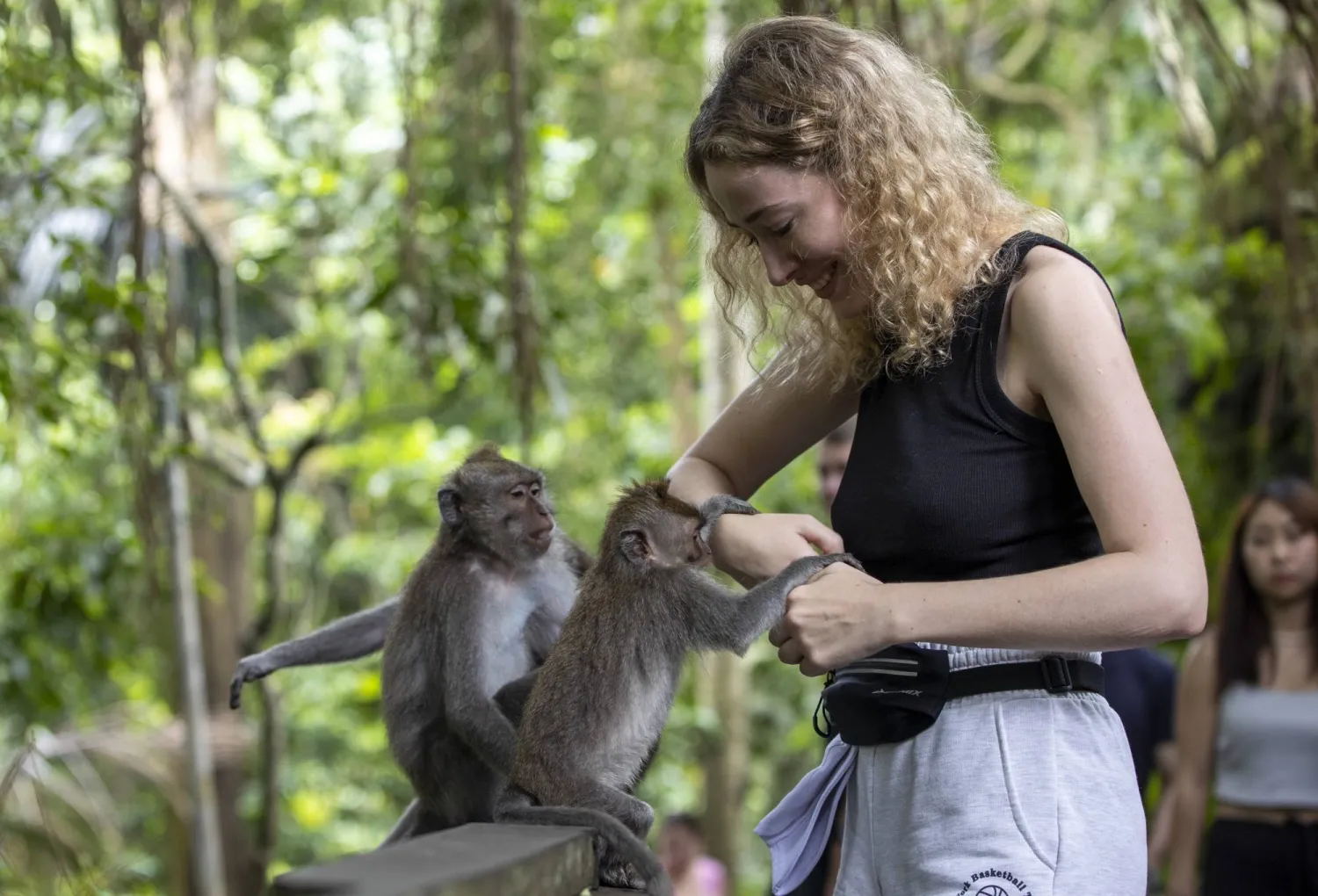 تُتقن السرقة وتطلب الفدية (غيتي)