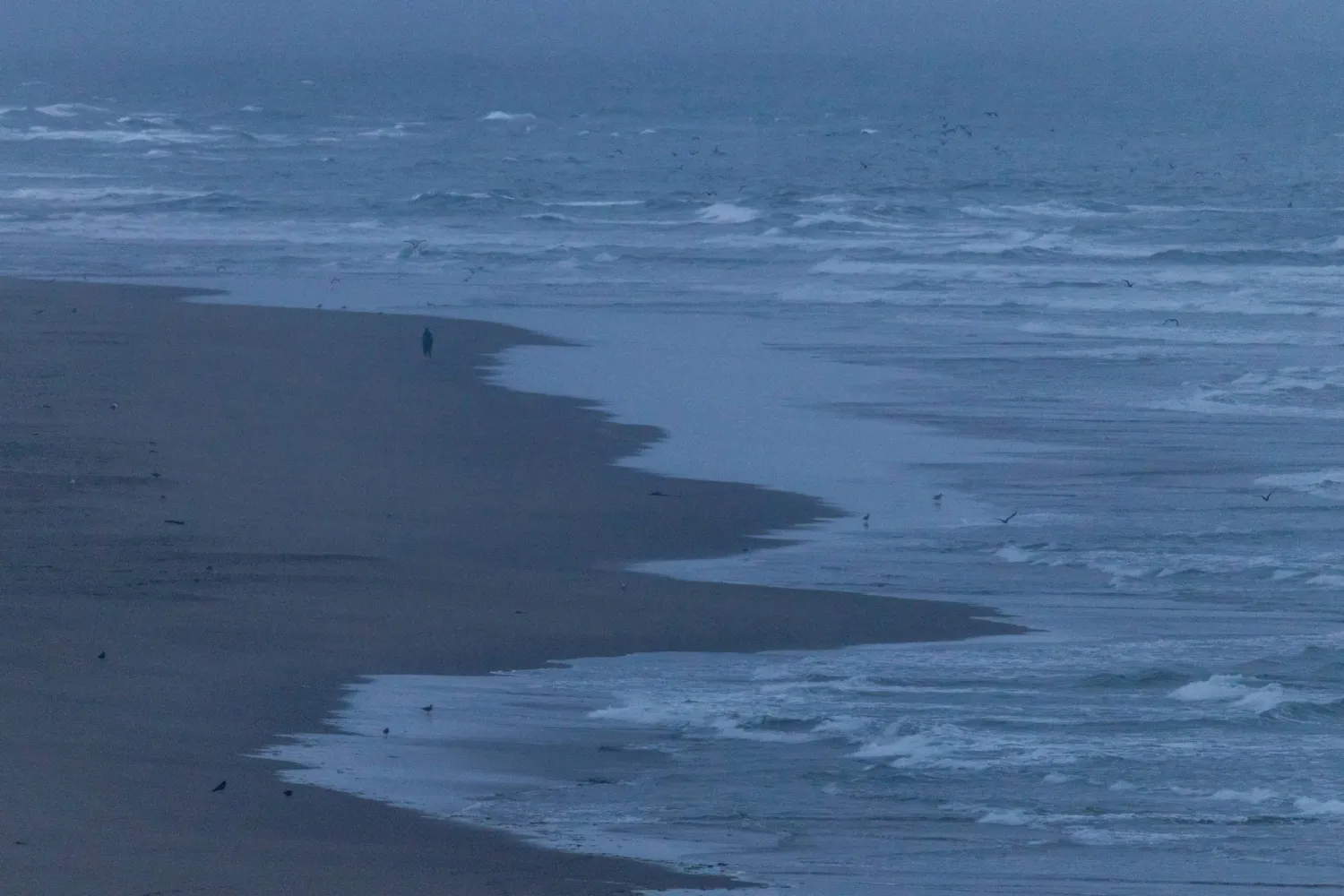 صورة من شاطئ أوشن بيتش بكاليفورنيا بعد أن حذّرت السلطات السكان من احتمال حدوث موجات تسونامي عقب زلزال في شبه جزيرة كامتشاتكا الروسية اليوم (رويترز)