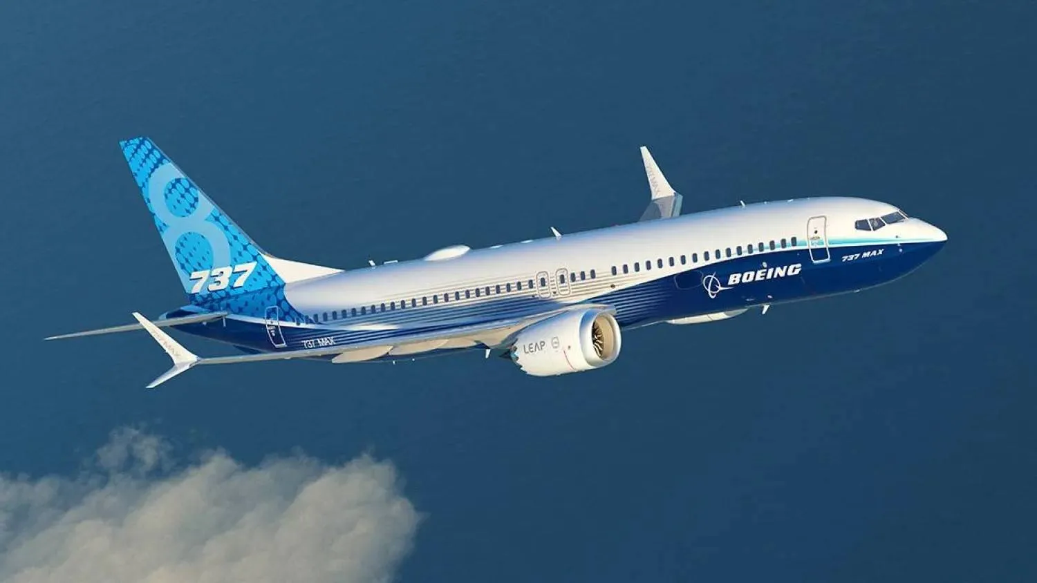 Boeing 737 aircraft (Company handout) 
