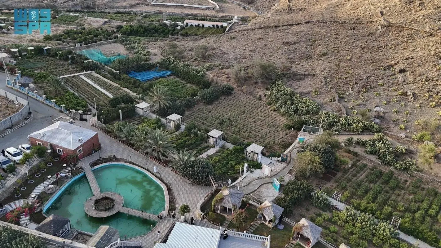 Taif's countryside is a thriving hub for tourism and entertainment. (SPA)
