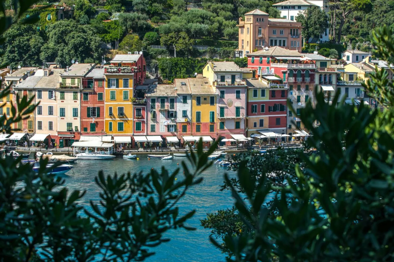 Hayır kurumu, Portofino Belediye Meclisi'ne kuralı iptal etmesi için 15 gün süre verip aksi takdirde yasal işlem başlatacağını belirtti (Unsplash)