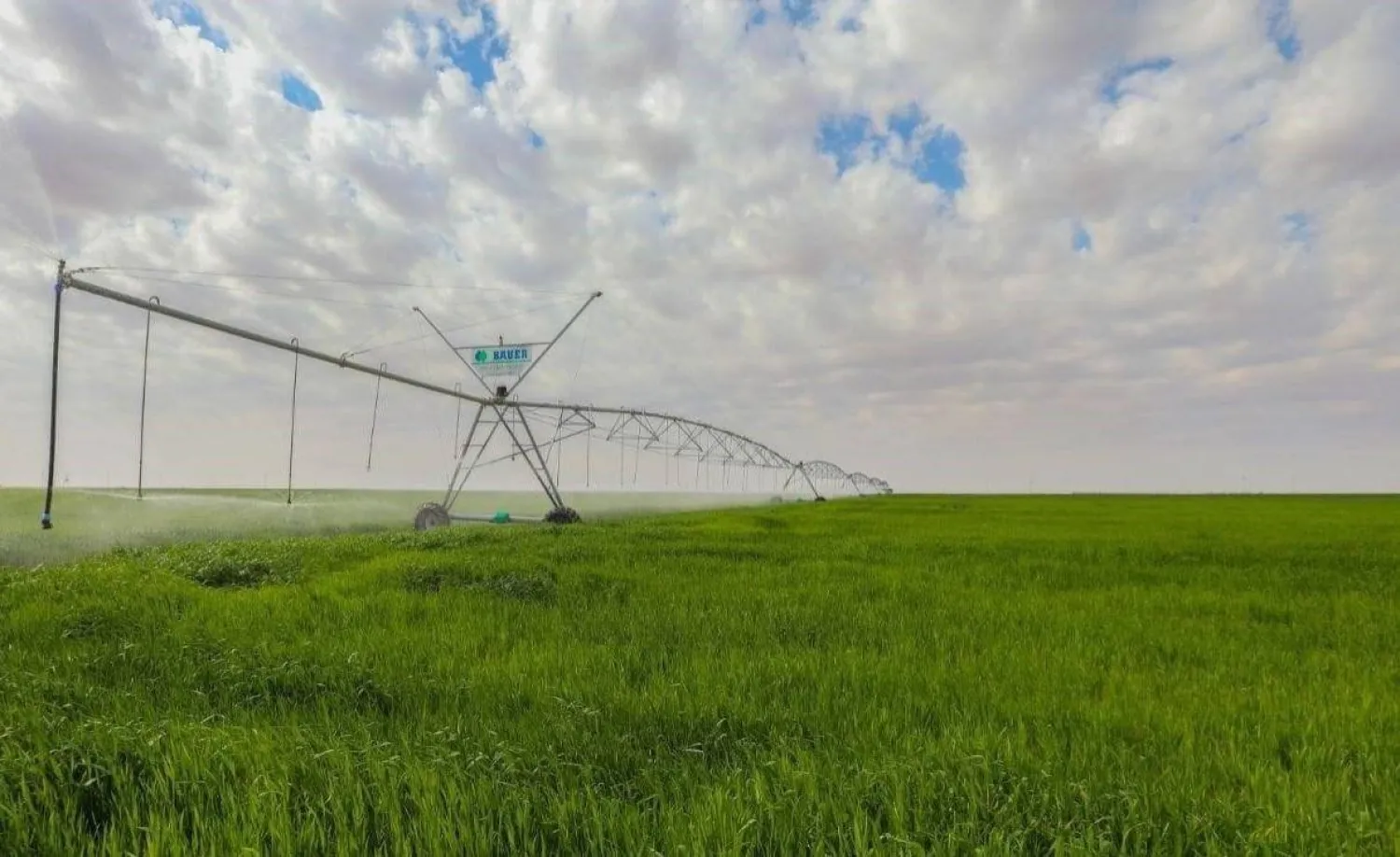 إحدى المزارع العراقية (وكالة الأنباء العراقية)