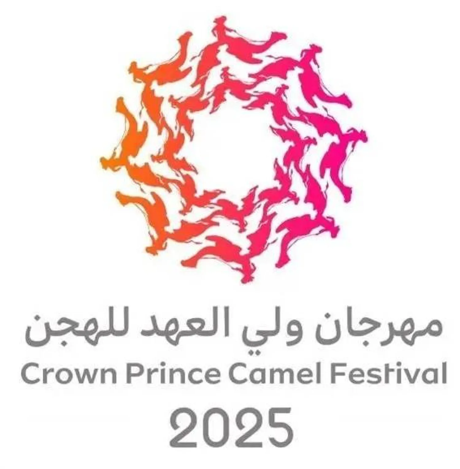 Crown Prince Camel Festival to kick off in September. (SPA)