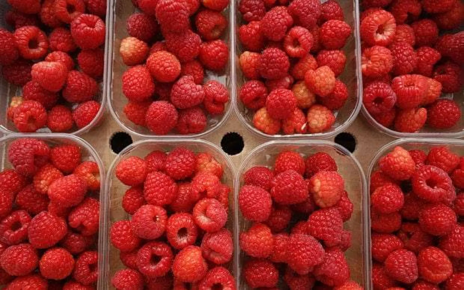 التوت ومشتقاته يحتوي على أقل سكر من العديد من الفواكه (أرشيفية - رويترز)