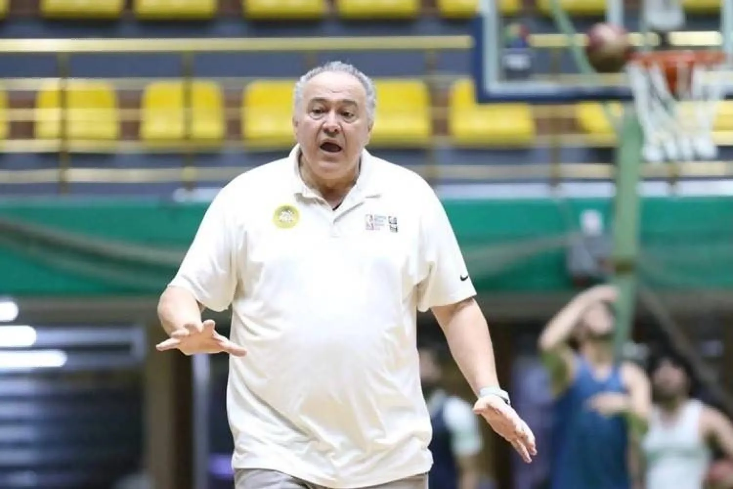 فيسلين ماتيتش (الاتحاد العراقي)