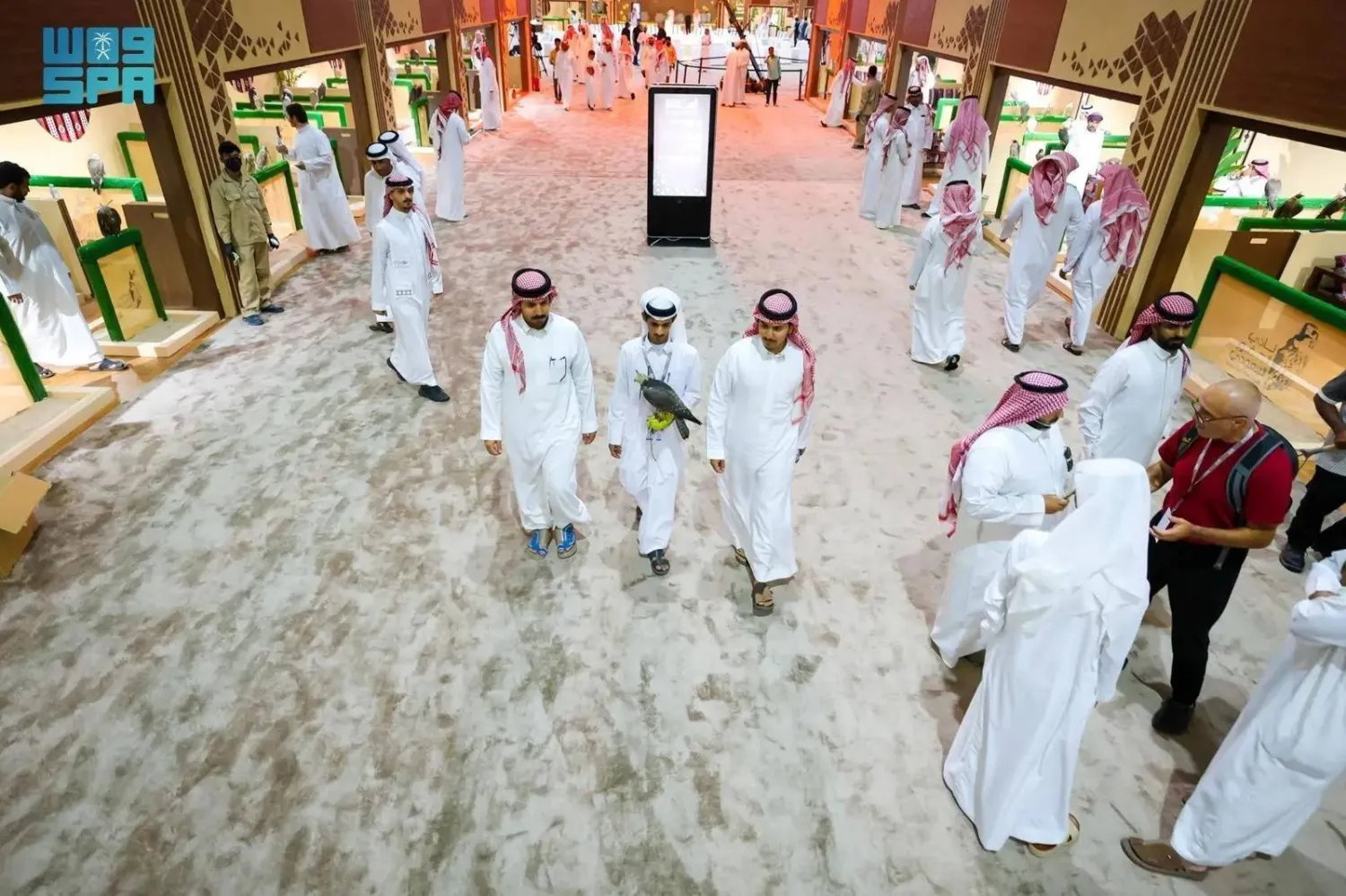 The International Falcon Breeders Auction (IFBA) 2025 will run until August 25. (SPA)