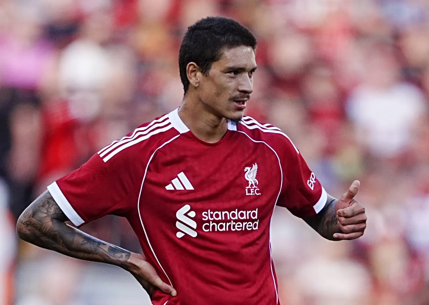 نونيز (د.ب.أ)