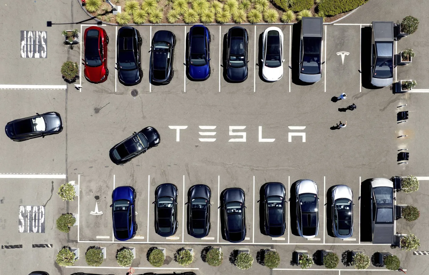 Tesla vehicles line a parking area at the company's Fremont, Calif., factory on Tuesday, Aug. 5, 2025. (AP Photo/Noah Berger)
