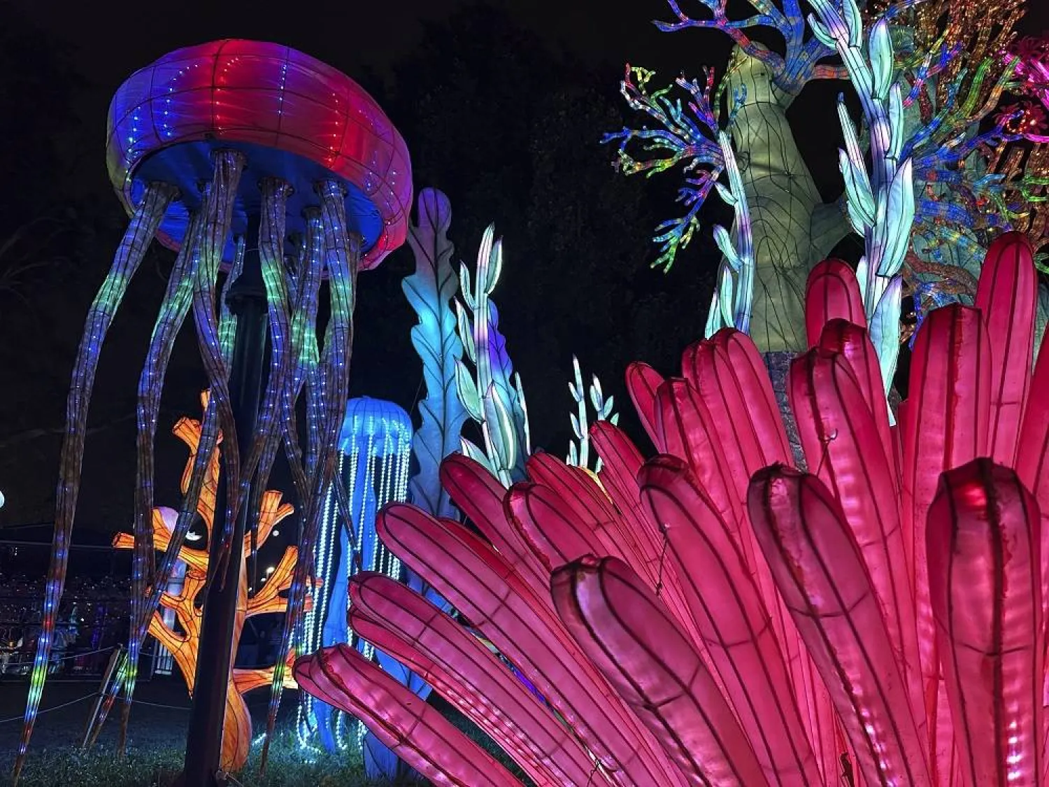 An underwater scene is shown as part of the Philadelphia Chinese Lantern Festival, Tuesday, Aug. 5, 2025 in Philadelphia. (AP)