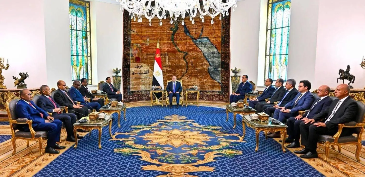 Sisi, Idris hold talks in Cairo – Presidency 
