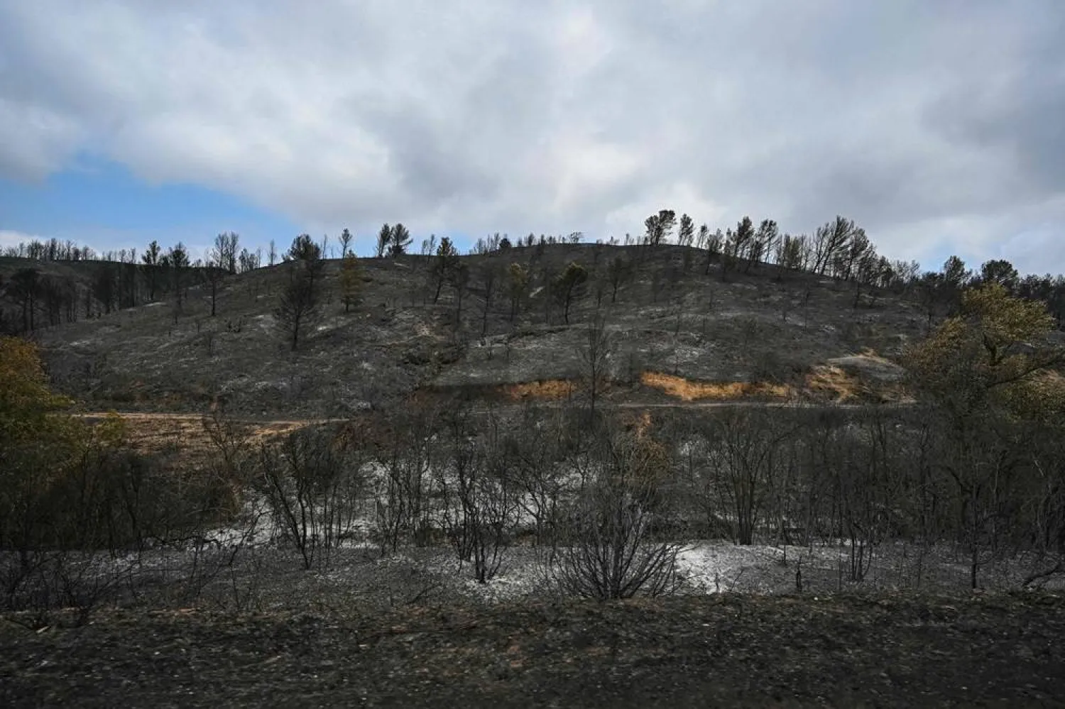 This photograph shows a forest area with trees burnt due to a wildfire, between Albas and Saint-Laurent-de-la-Cabrerisse southern France on August 8, 2025. (AFP)