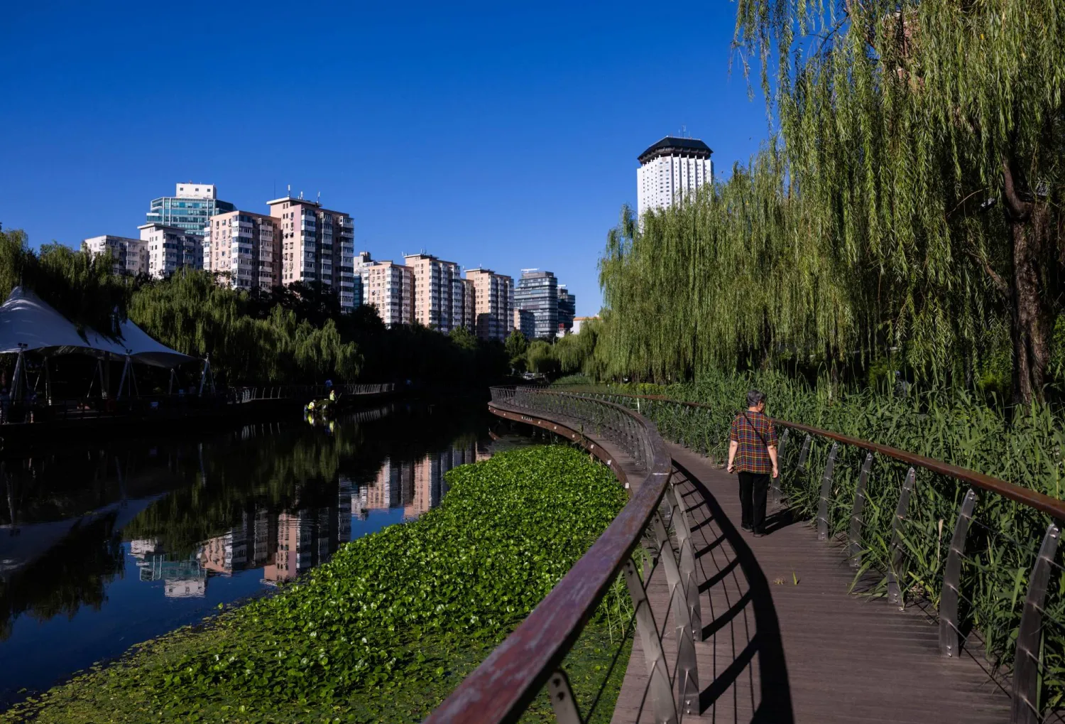 An elderly woman walks along the embankment of Liangma river in Beijing, China August 9, 2025. REUTERS/Maxim Shemetov