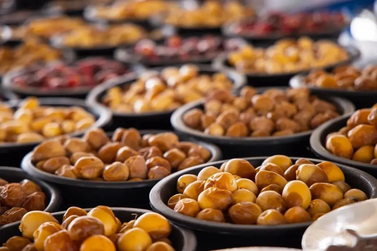 أنواع للتمور من الأراضي السعودية (الشرق الأوسط)