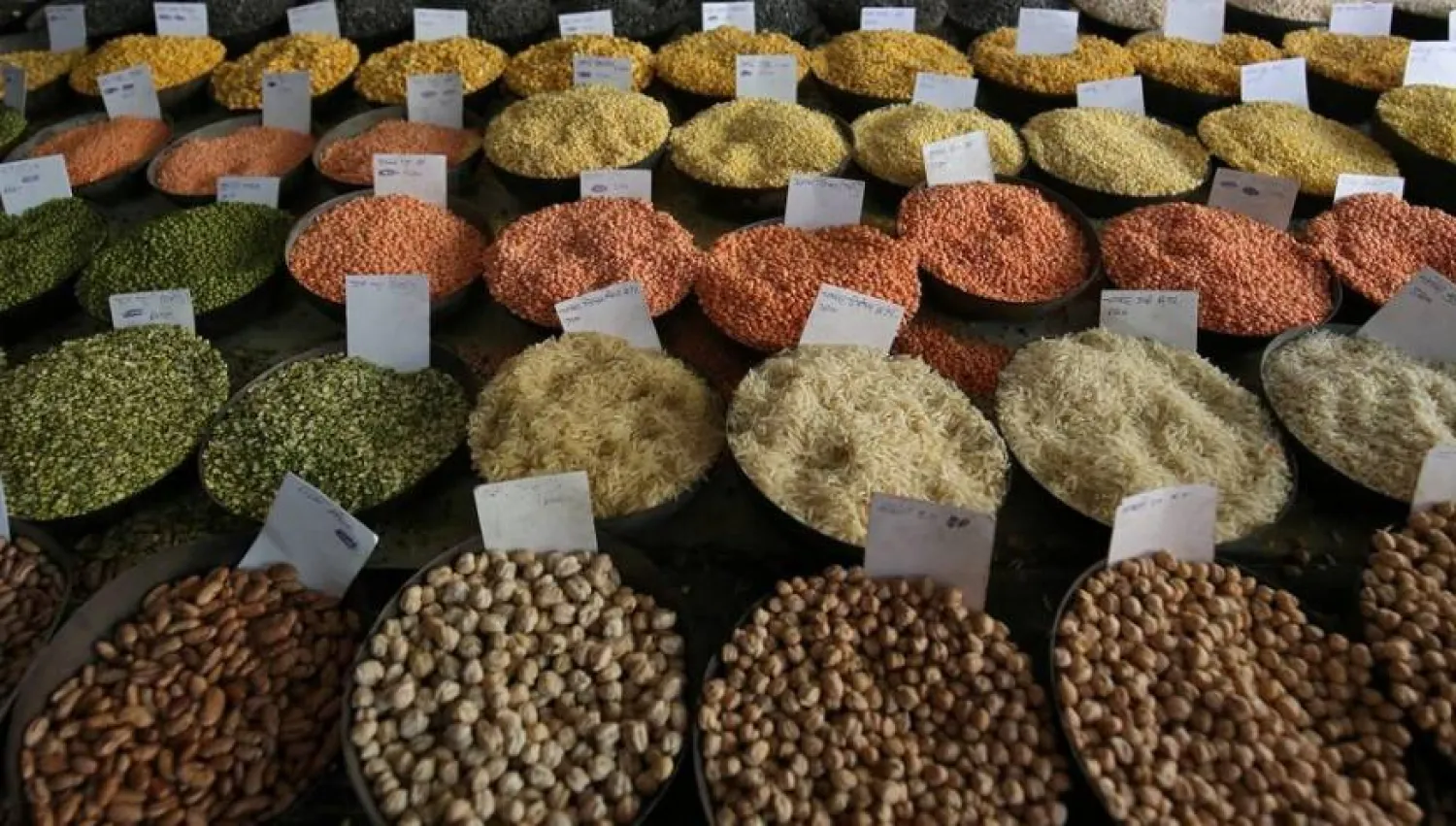 العدس غني بالنشا المقاوم والألياف الحيوية التي تُغذي ميكروبيوم الأمعاء (أرشيفية - رويترز)