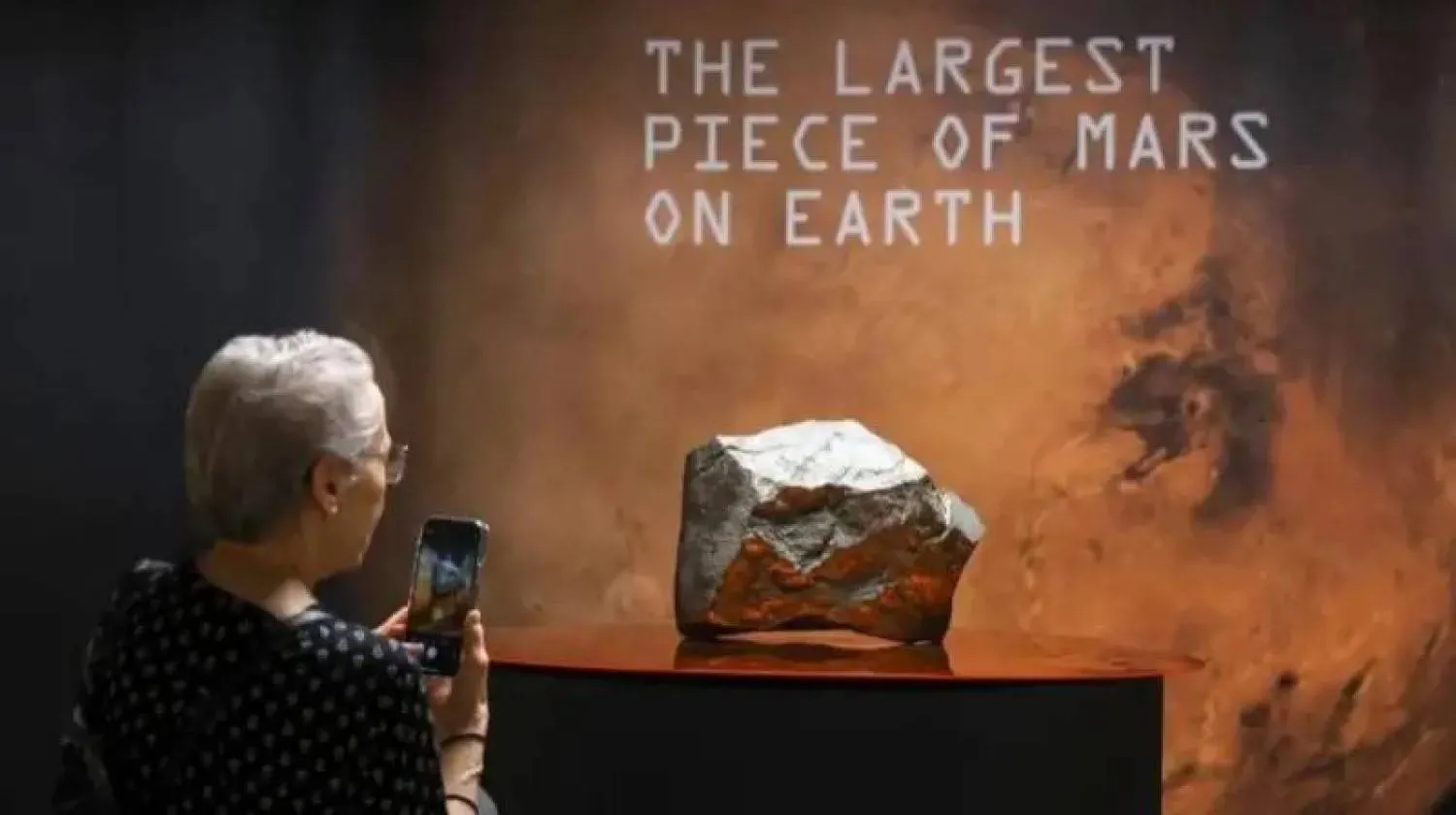 The Martian meteorite found in Niger went on display in New York before it was auctioned (EPA) 