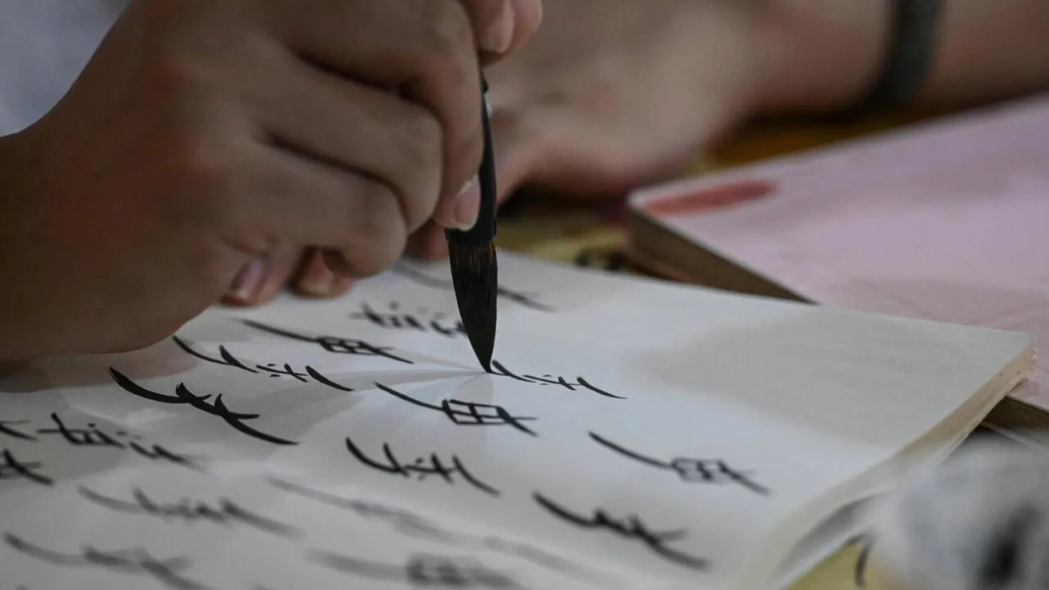 Nushu, meaning "women's script", emerged around 400 years ago. Jade GAO / AFP
