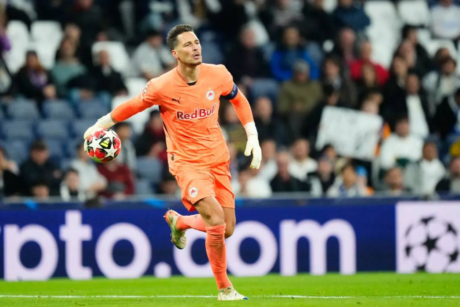 الحارس يانيس بلاسفيتش (وسائل إعلام نمساوية) 