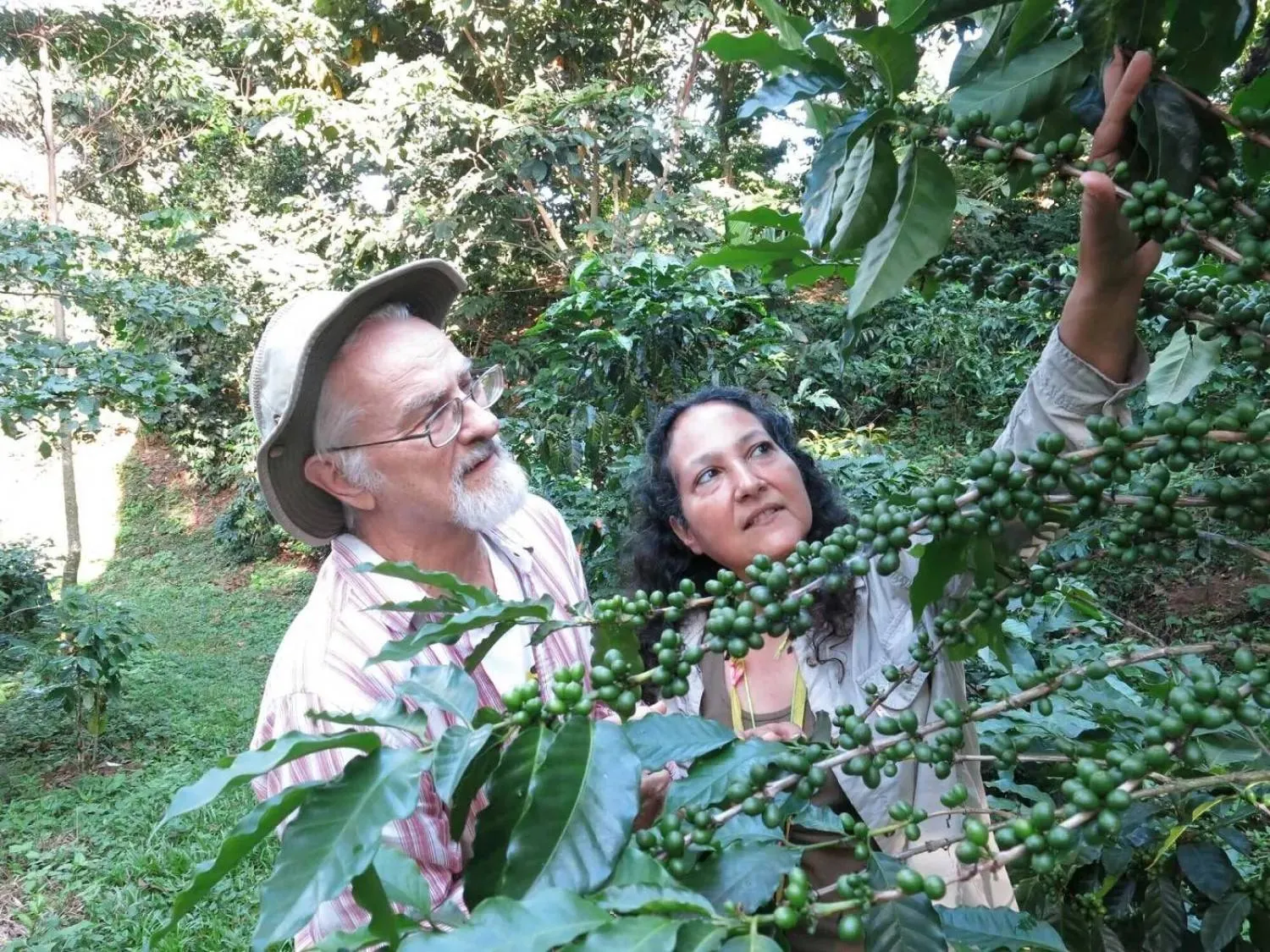 John Vandermeer and Ivette Perfecto, two professors at the University of Michigan 