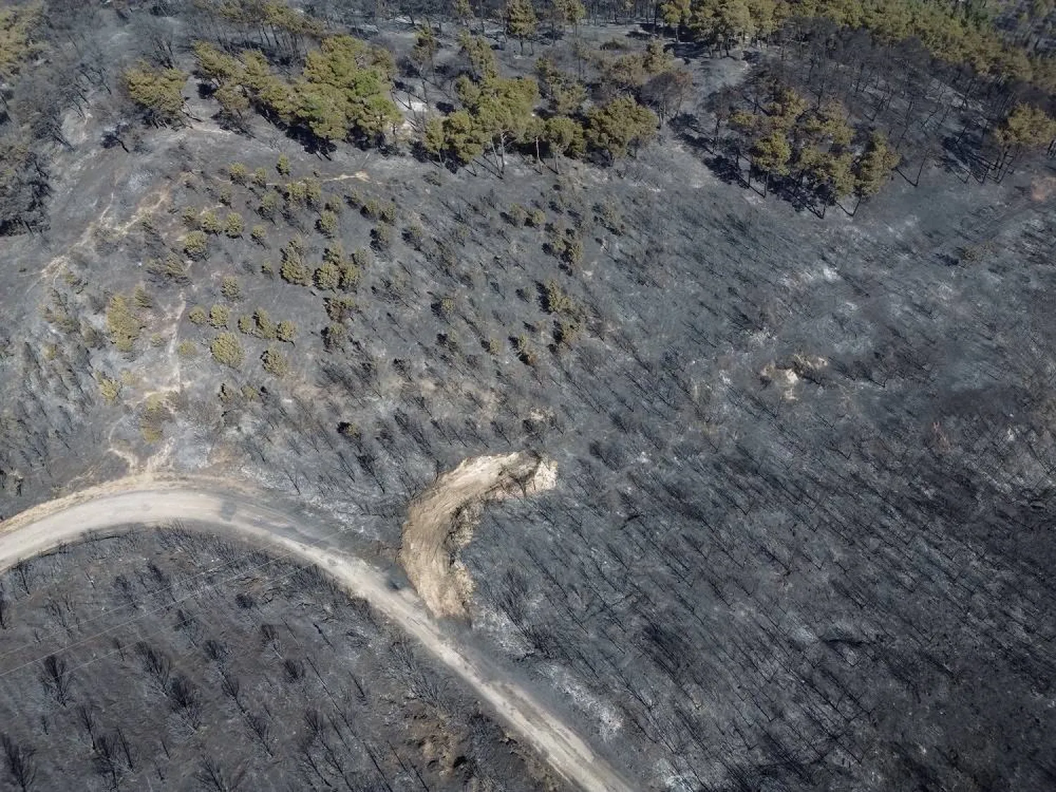 A drone view shows the aftermath of a wildfire near Erenkoy, Canakkale, Türkiye, August 12, 2025. (Reuters) 