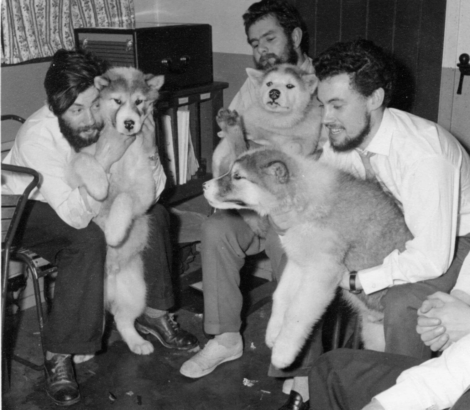 عالم الأرصاد الجوية دينيس بيل (يسار) مع زملائه والكلاب التي ساعدتهم في العمل بأنتاركتيكا - منتصف شتاء عام ١٩٥٩ (موقع هيئة «بريتيش أنتاركتيك سورفيه»)