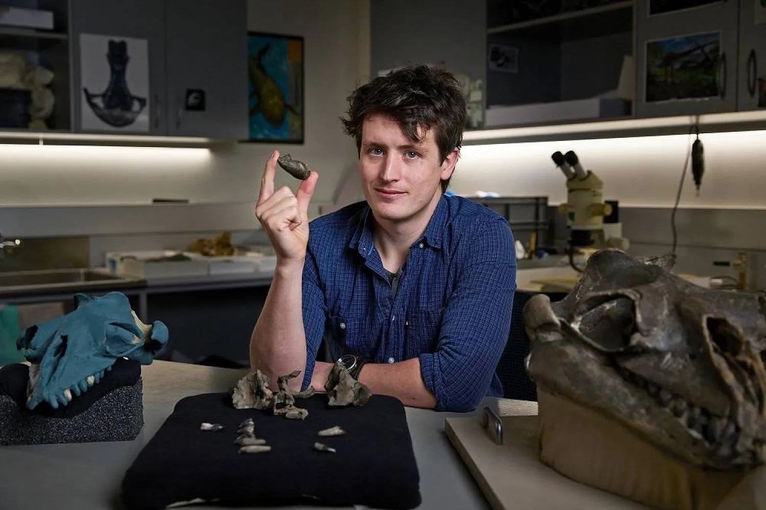 In this photo taken on August 5, 2025 and released by Museums Victoria on August 13, 2025 shows Museums Victoria Researcher Ruairidh Duncan posing with an ear bone and partial fossil skull of Janjucetus dullardi, along with a reconstructed skull (L) and the fossil skull of Janjucetus hunderi (R) in Melbourne. (Tom Breakwell / Museums Victoria / AFP)