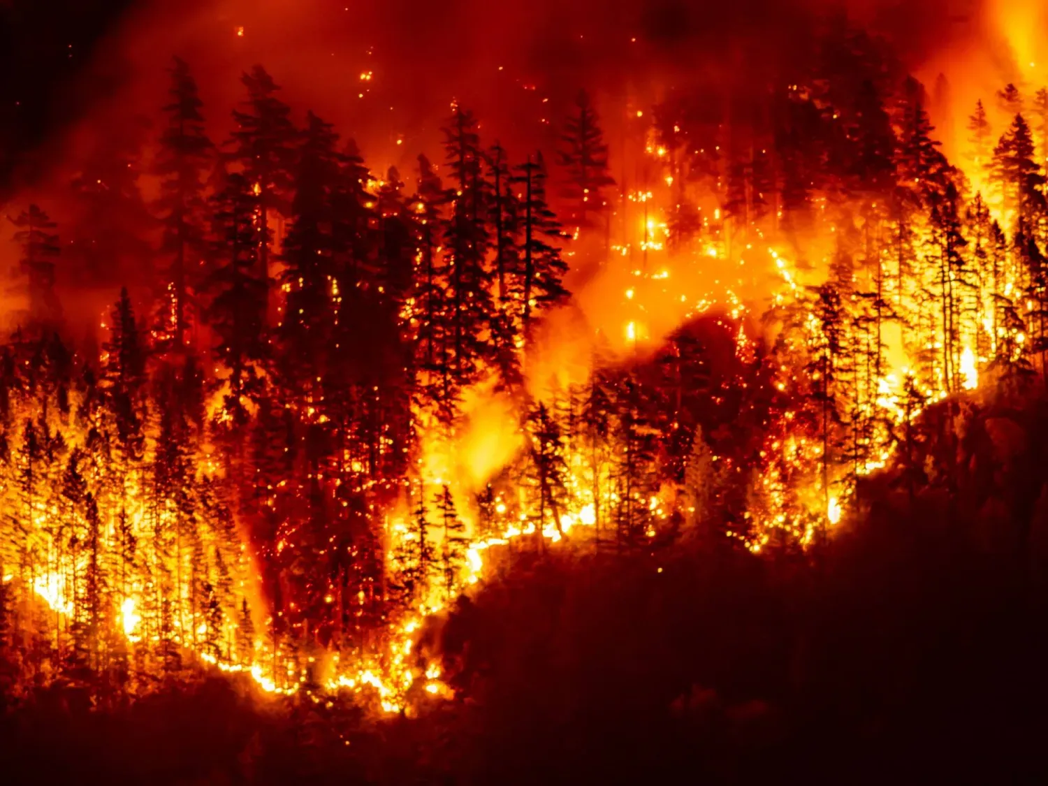 Kanada, Britanya Kolombiyası, Vancouver Adası'ndaki Port Alberni yakınlarındaki Mount Underwood’da çıkan orman yangınları, 12 Ağustos 2025 (AFP)