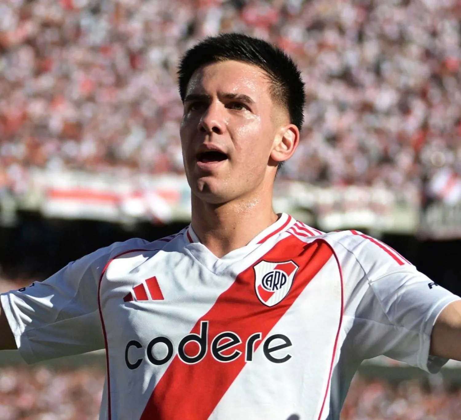 فرانكو ماستانتونو (الشرق الأوسط)