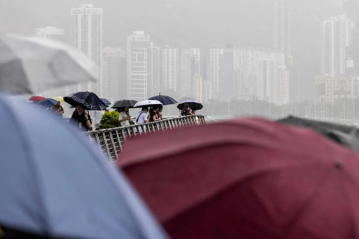 صينيون يحتمون بالمظلات من الأمطار الغزيرة في جزيرة هونغ كونغ (أ.ف.ب)