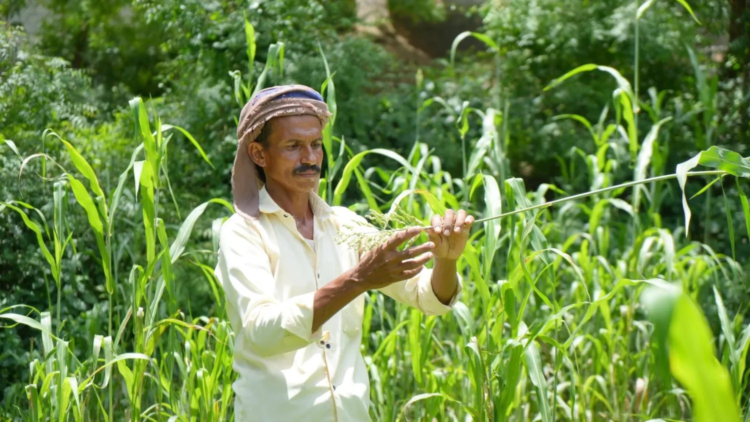 حدوث فيضانات مفاجئة قد يتسبب في أضرار جسيمة للأصول الزراعية (الأمم المتحدة)