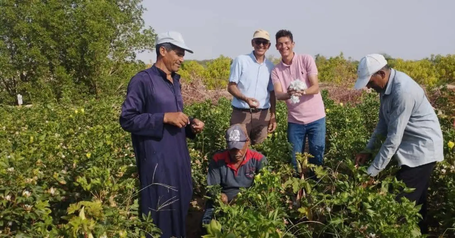 يشتغل عدد كبير من المصريين بقطاع الزراعة (وزارة الزراعة)