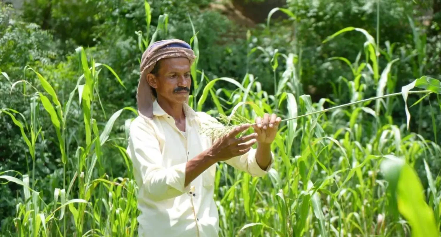 Flash floods may cause severe damage to agriculture (UN)