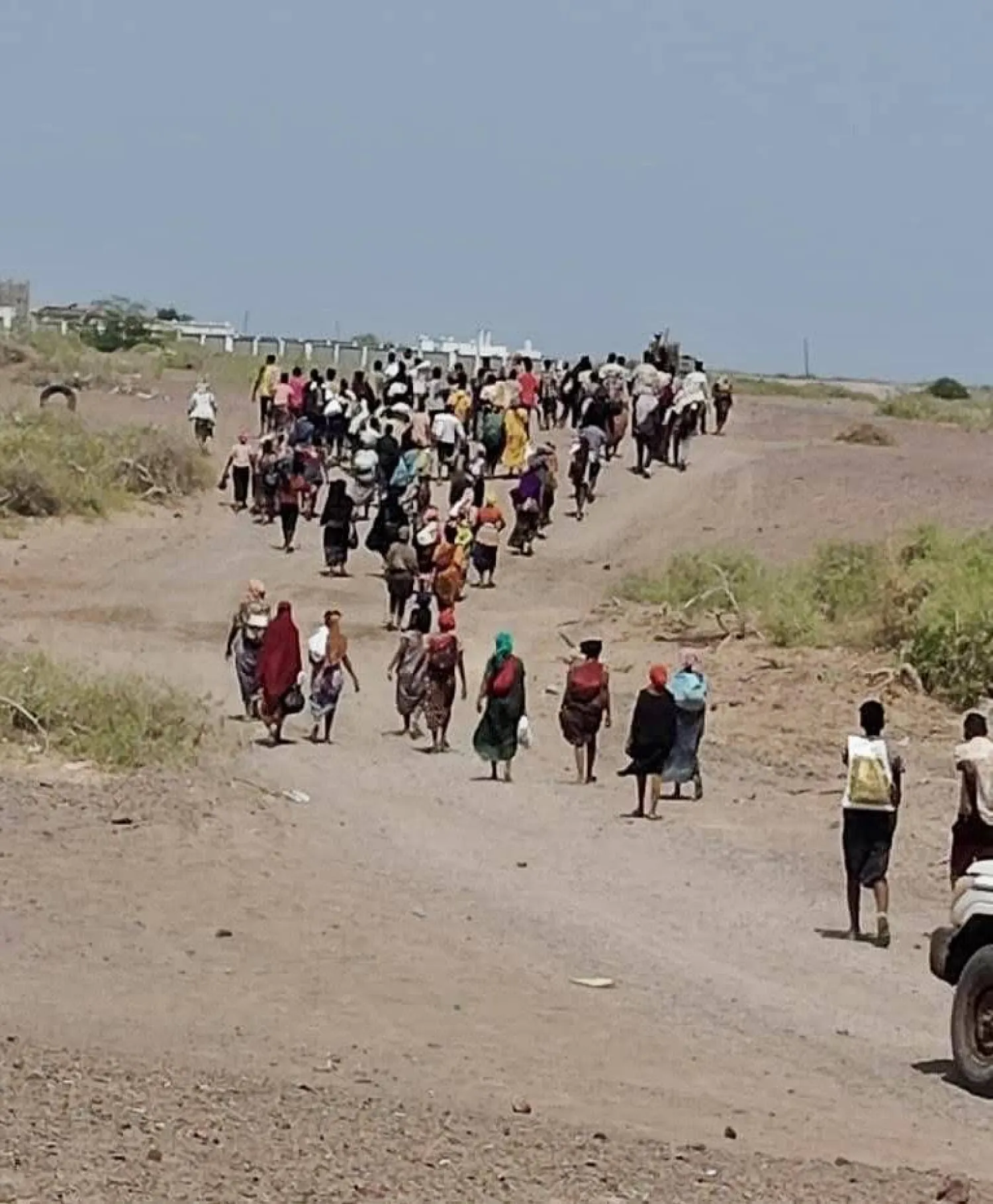 المهربون يتعمدون تضليل المهاجرين بشأن وجهتهم النهائية ويعرضونهم للاستغلال (إعلام حكومي)

