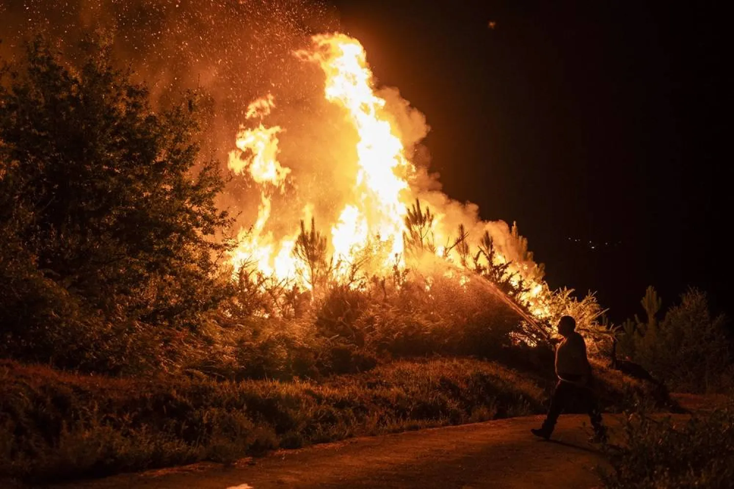Locals collaborate to extinguish a forest fire in Carballeda de Avia, Ourense, Galicia province, north-western Spain, 16 August 2025. (EPA) 